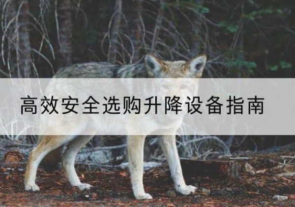潍城升降货梯厂家推荐-*安全选购升降设备指南