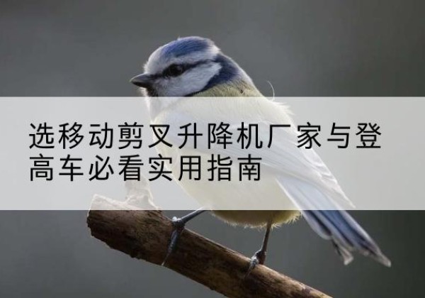 潍城电动升降机厂家-选移动剪叉升降机厂家与登高车必看实用指南