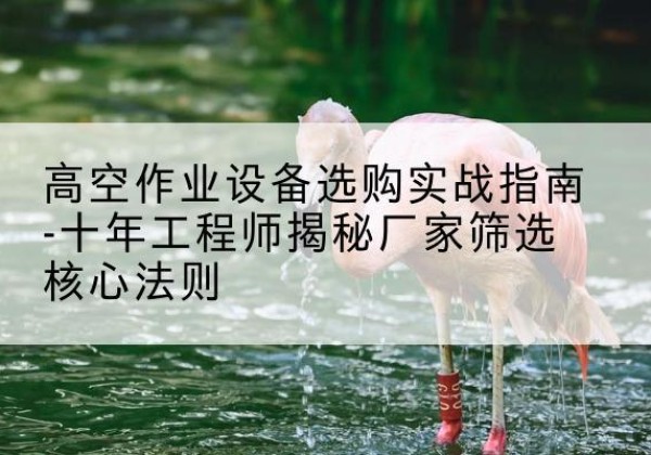 潍城剪叉式升降机厂家-高空作业设备选购实战指南-十年工程师揭秘厂家筛选核心法则
